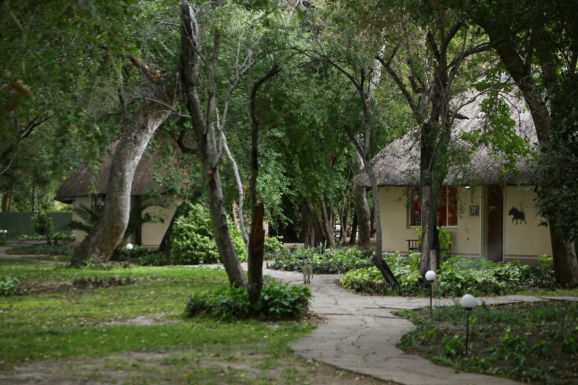 Island Safari Lodge Maun Exterior photo
